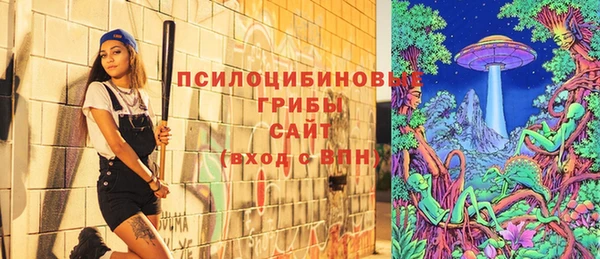 спайс Богородск