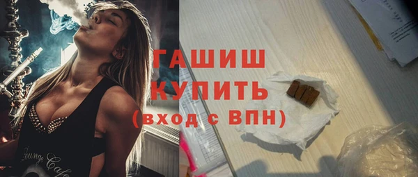 дмт Бородино