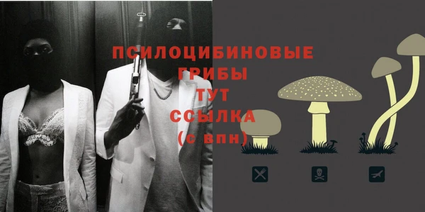 дмт Бородино