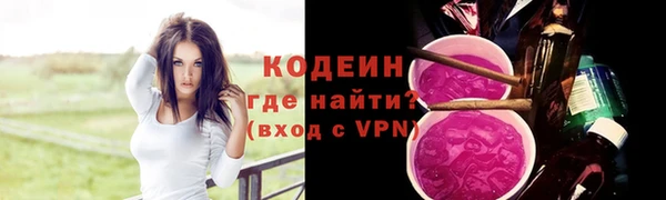 дмт Бородино