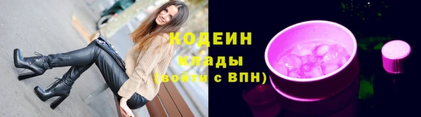 дмт Бородино