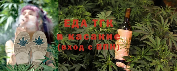 дмт Бородино