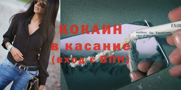 дмт Бородино