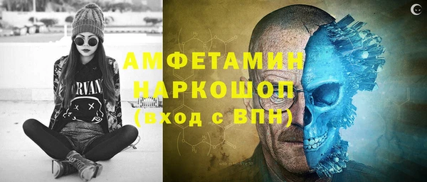 дмт Бородино